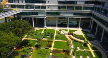 Indian Institute of Technology Madras-image