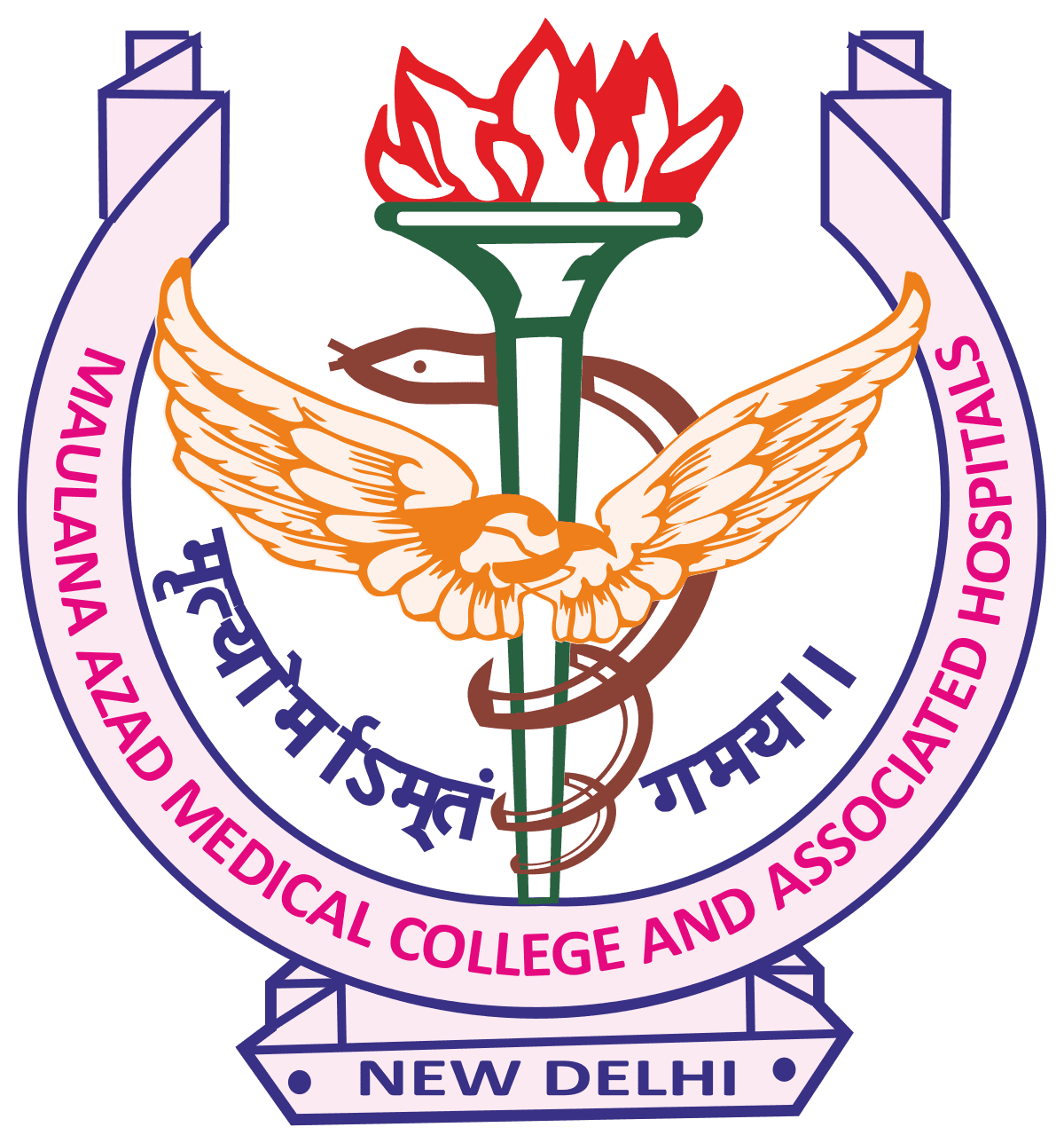 Maulana Azad Medical College-image