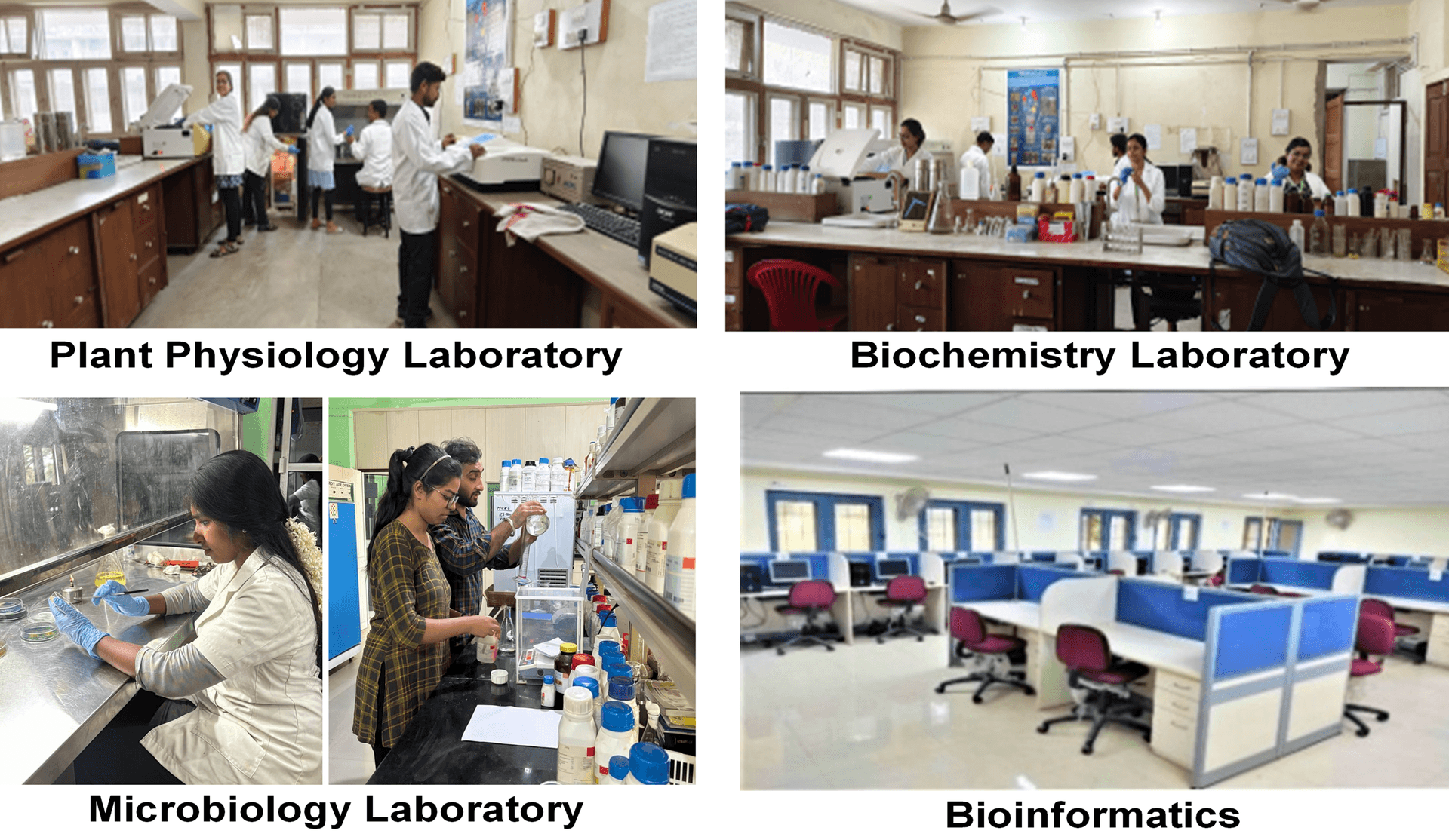 College of Basic Sciences & Humanities-image