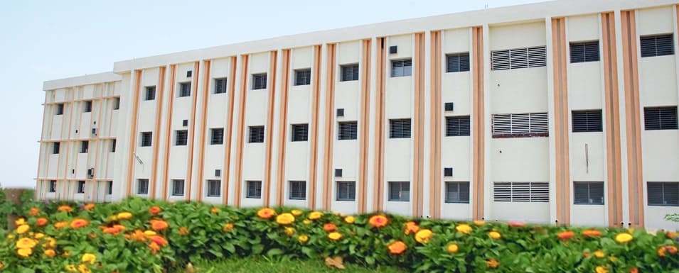 Springdale College of Management Studies-gallery-image-2