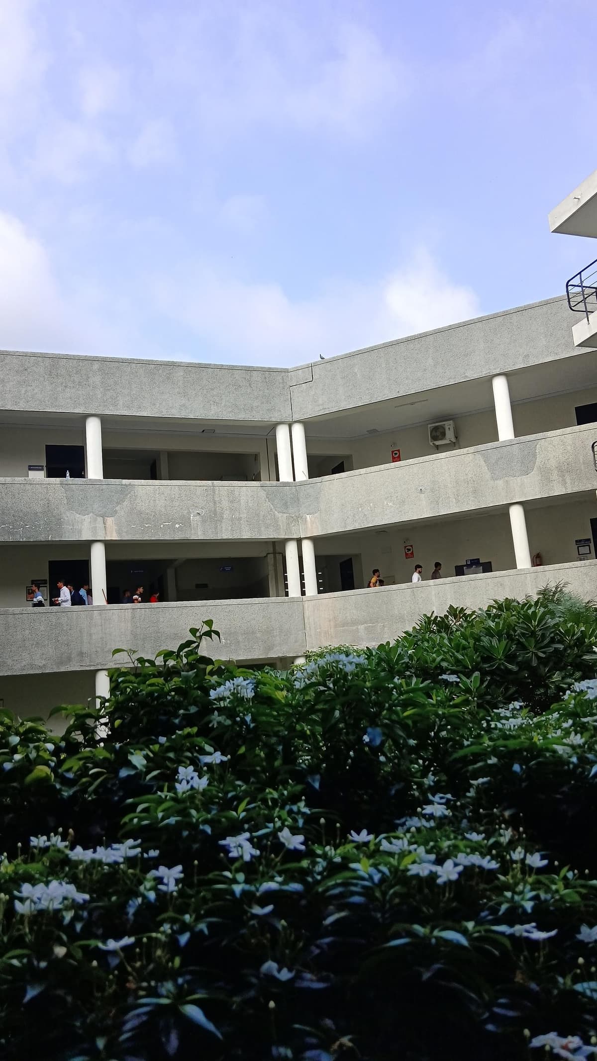 SCMPICA Anand-gallery-image-4