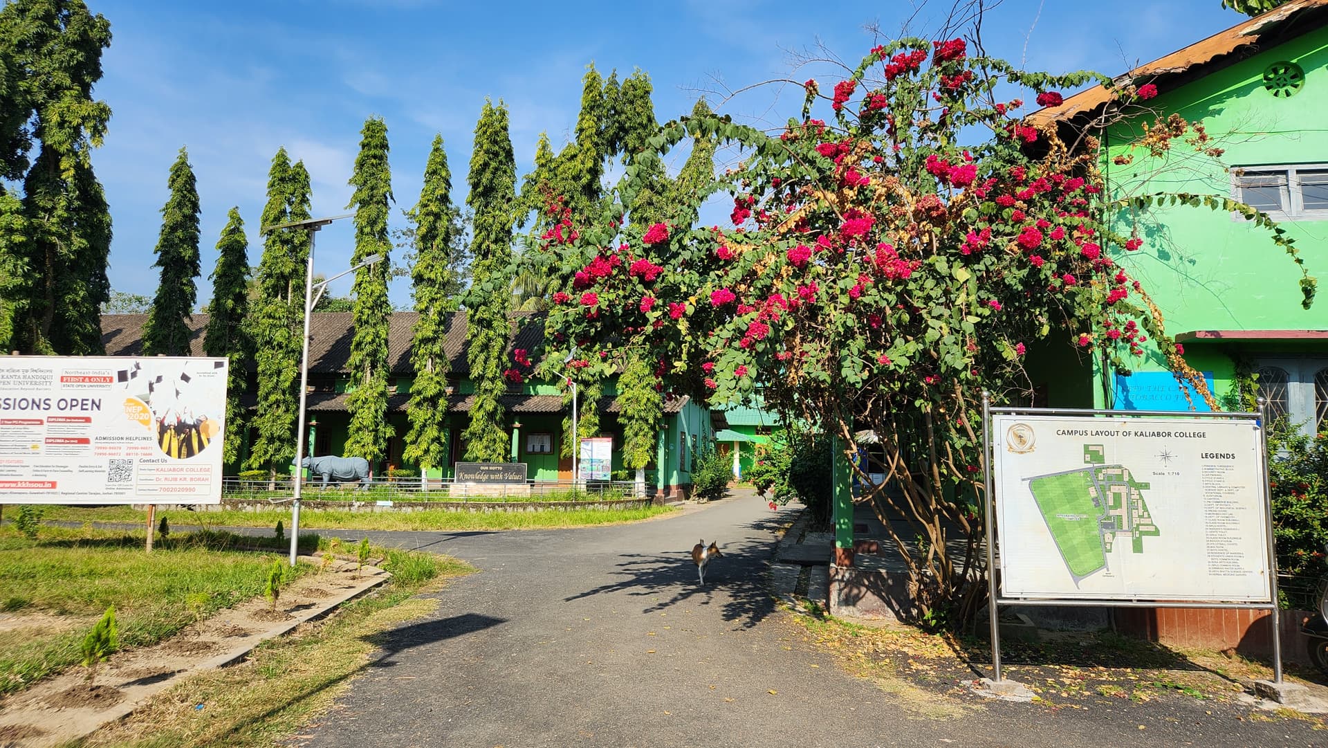Kaliabor College-image