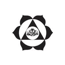 College of Fine Arts Kerala-image