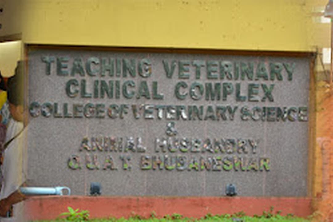 College of Veterinary Science and Animal Husbandry-image
