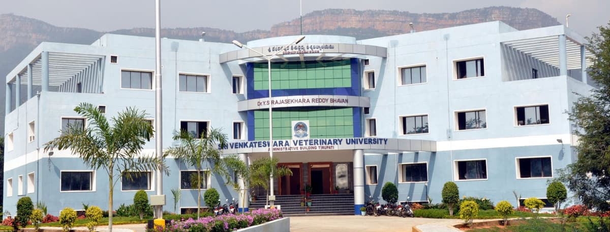 CVS Tirupati-gallery-image-4