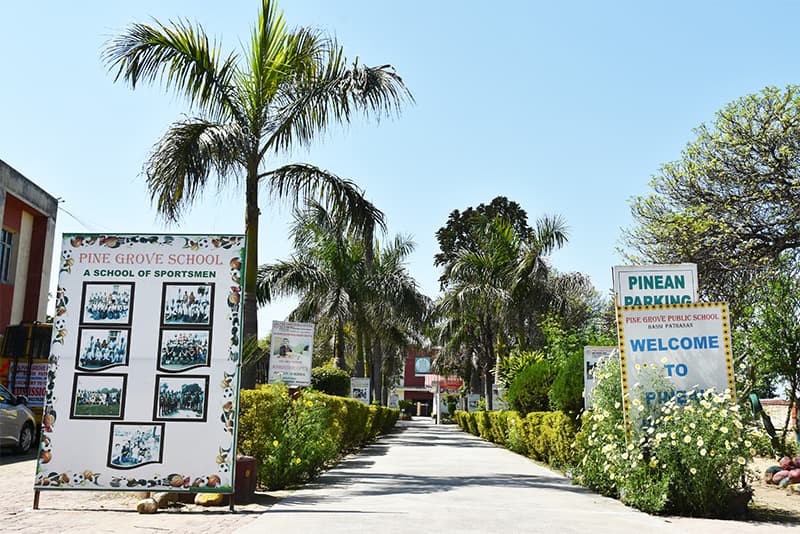 Pine Grove College of Education-gallery-image-4