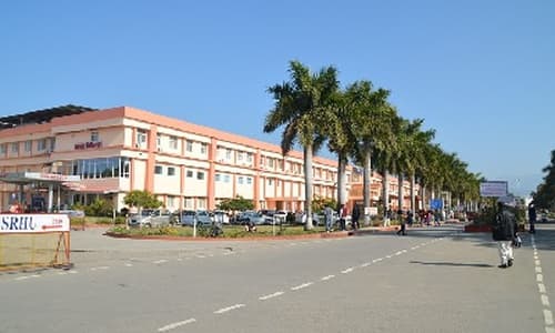 HCN Dehradun-image
