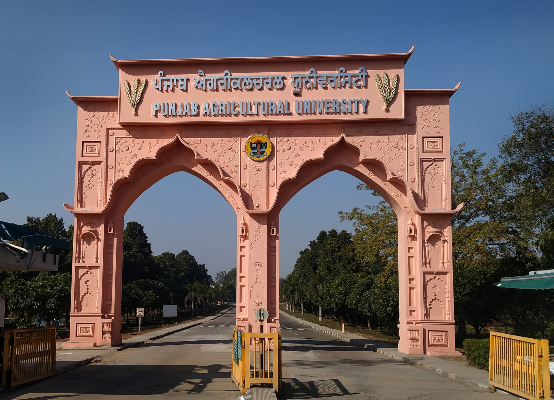 Punjab Agricultural University-image