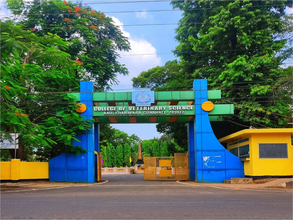 CVSc Khanapara-gallery-image-3