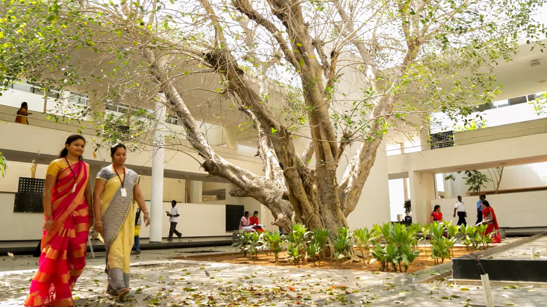 Centre for Applied Research and Education School of Architecture-image