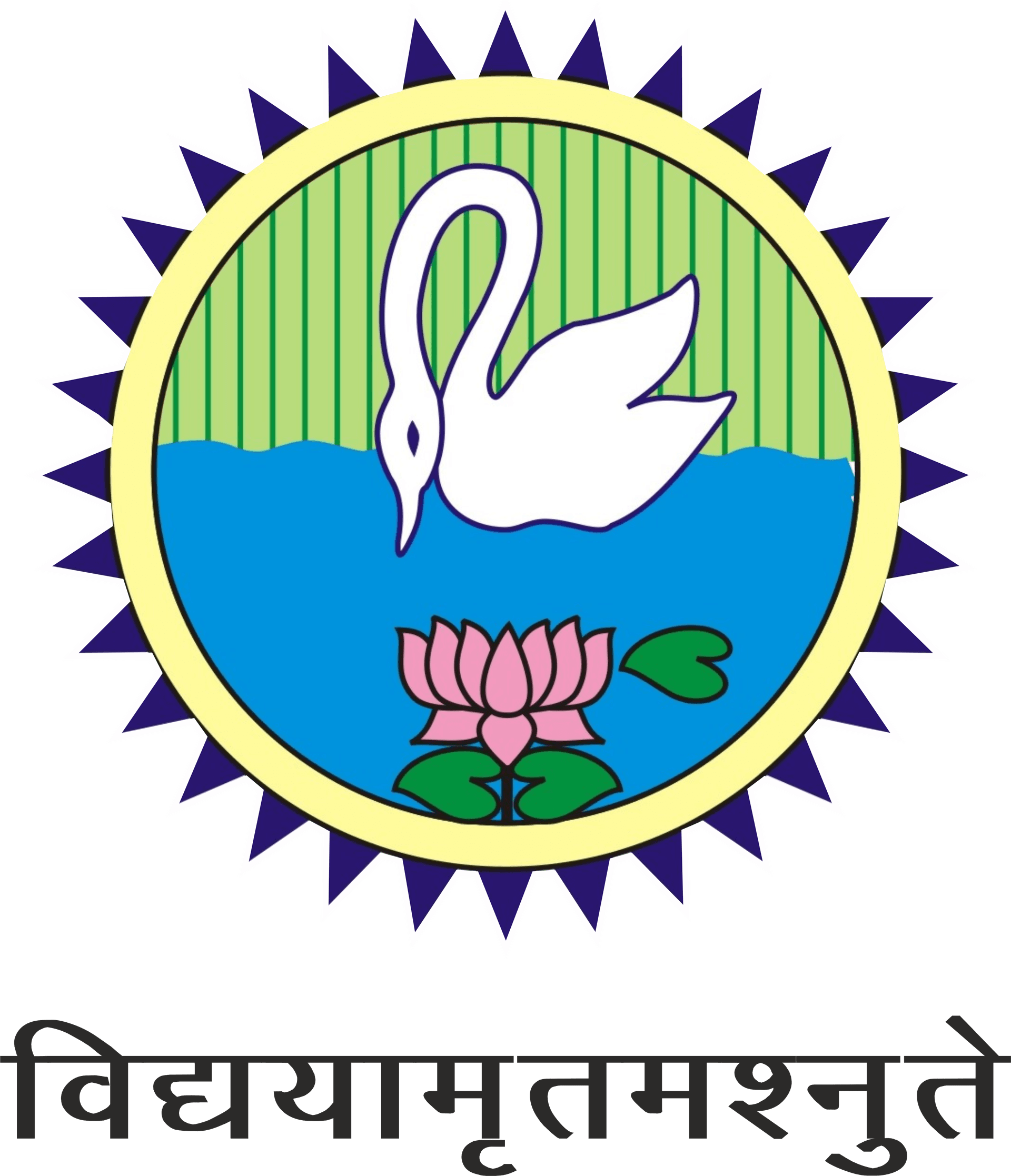 S.D. College of Management Studies-image