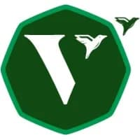 Vidya Institute of Creative Teaching-image