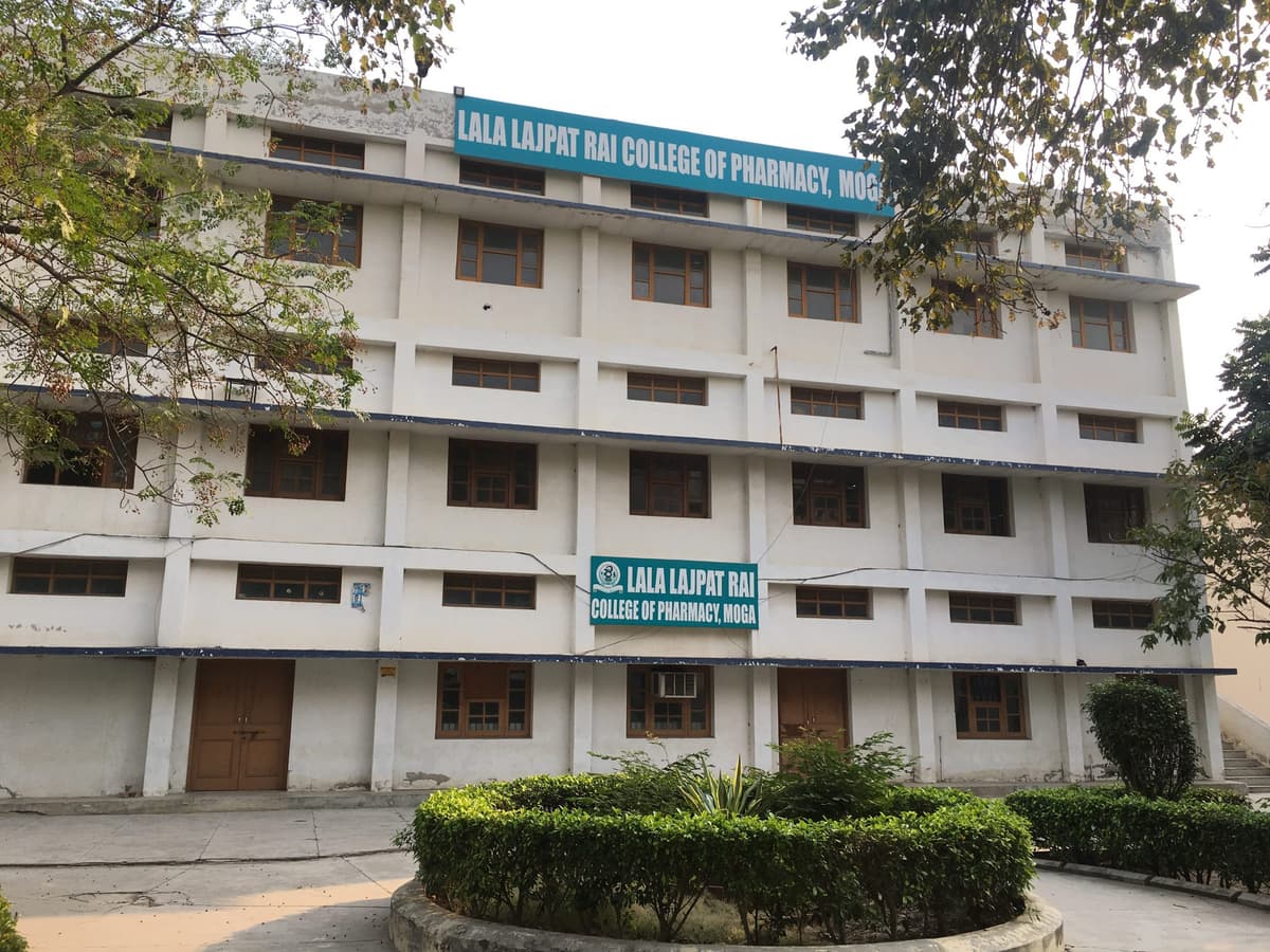 Lala Lajpat Rai Memorial College of Education-gallery-image-4