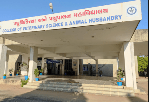 College of Veterinary Science and Animal Husbandry Banaskantha-gallery-image-1