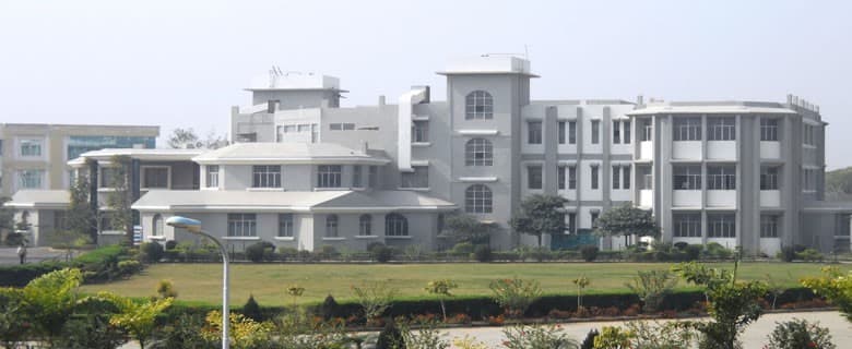 Institute of Professional Studies College of Pharmacy-image