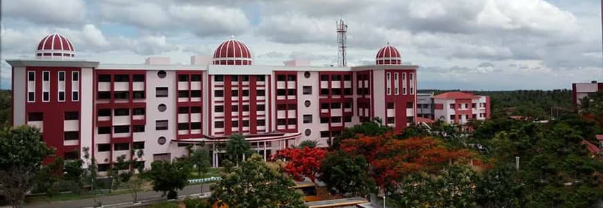Nehru Institute of Engineering and Technology-image