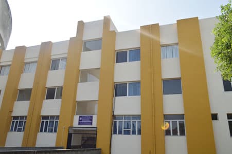 IEAR-gallery-image-2