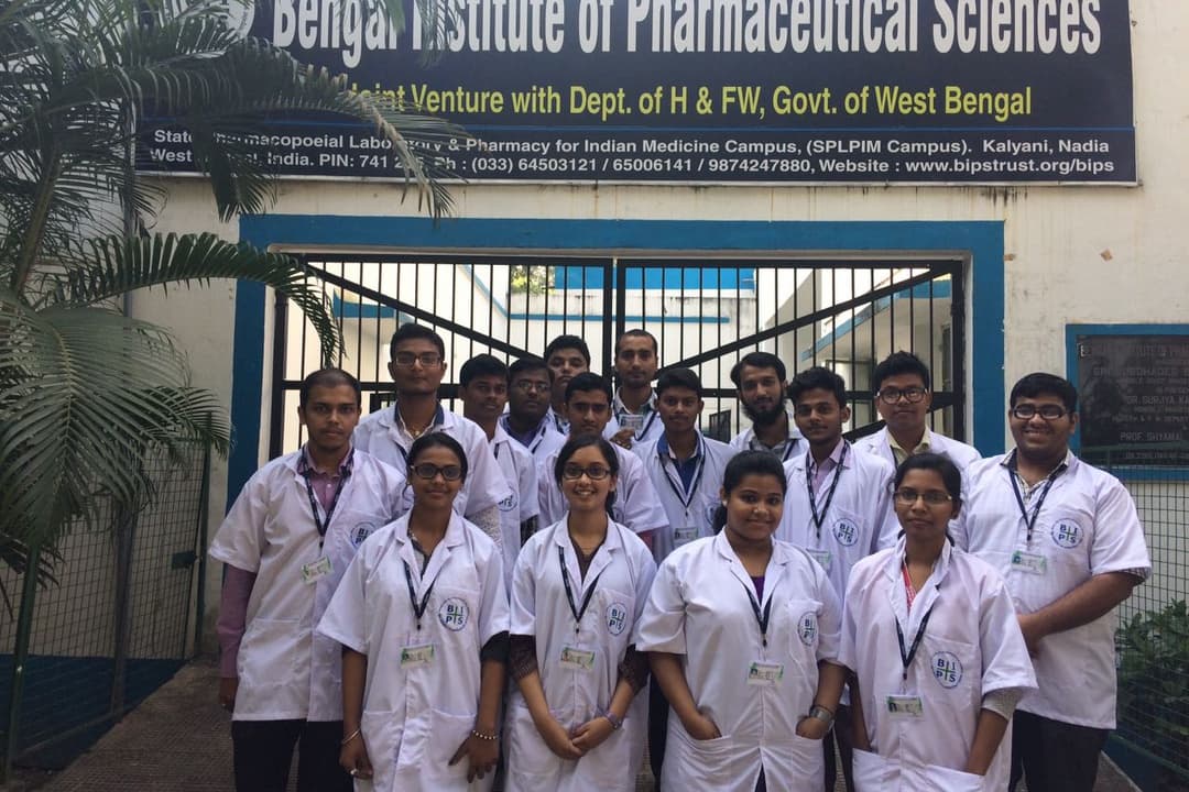 BIPS-gallery-image-1