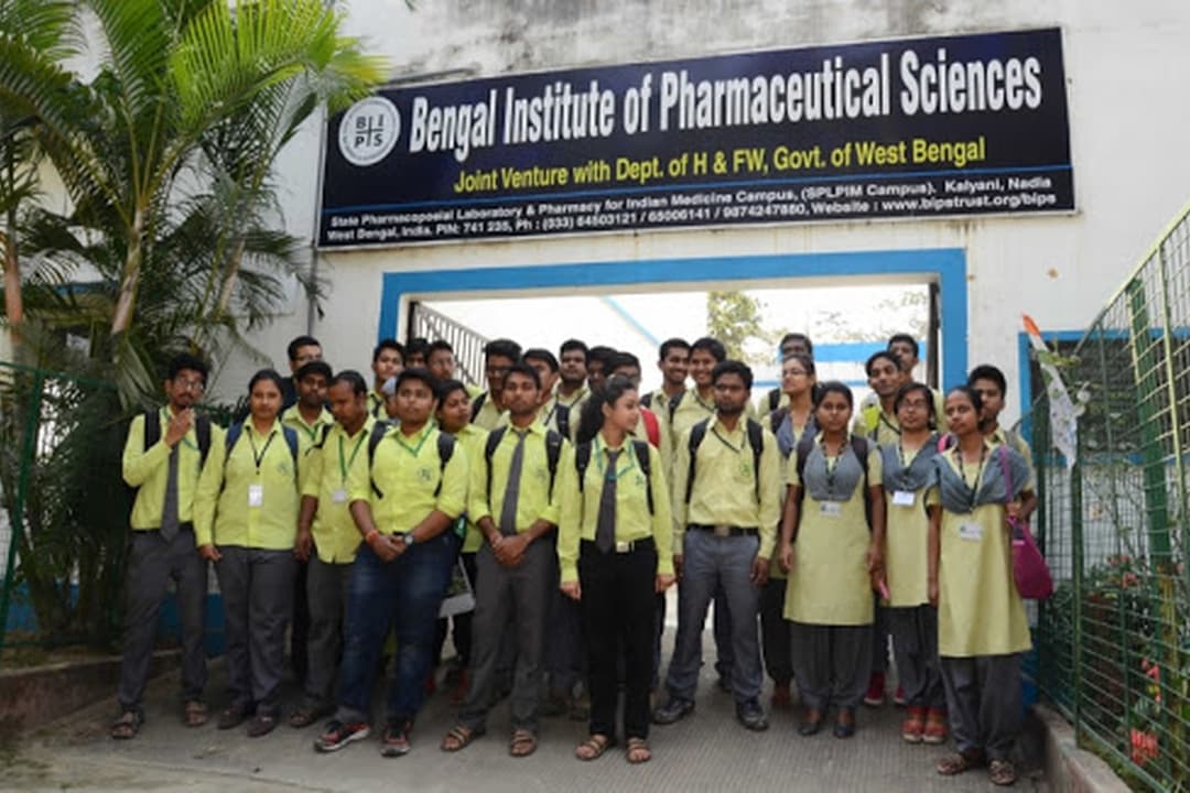 BIPS-gallery-image-4