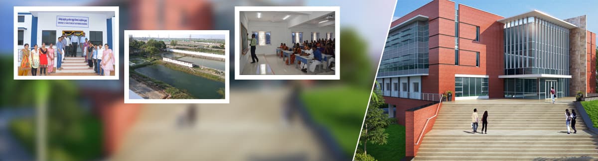 FCRI Thoothukudi-gallery-image-3