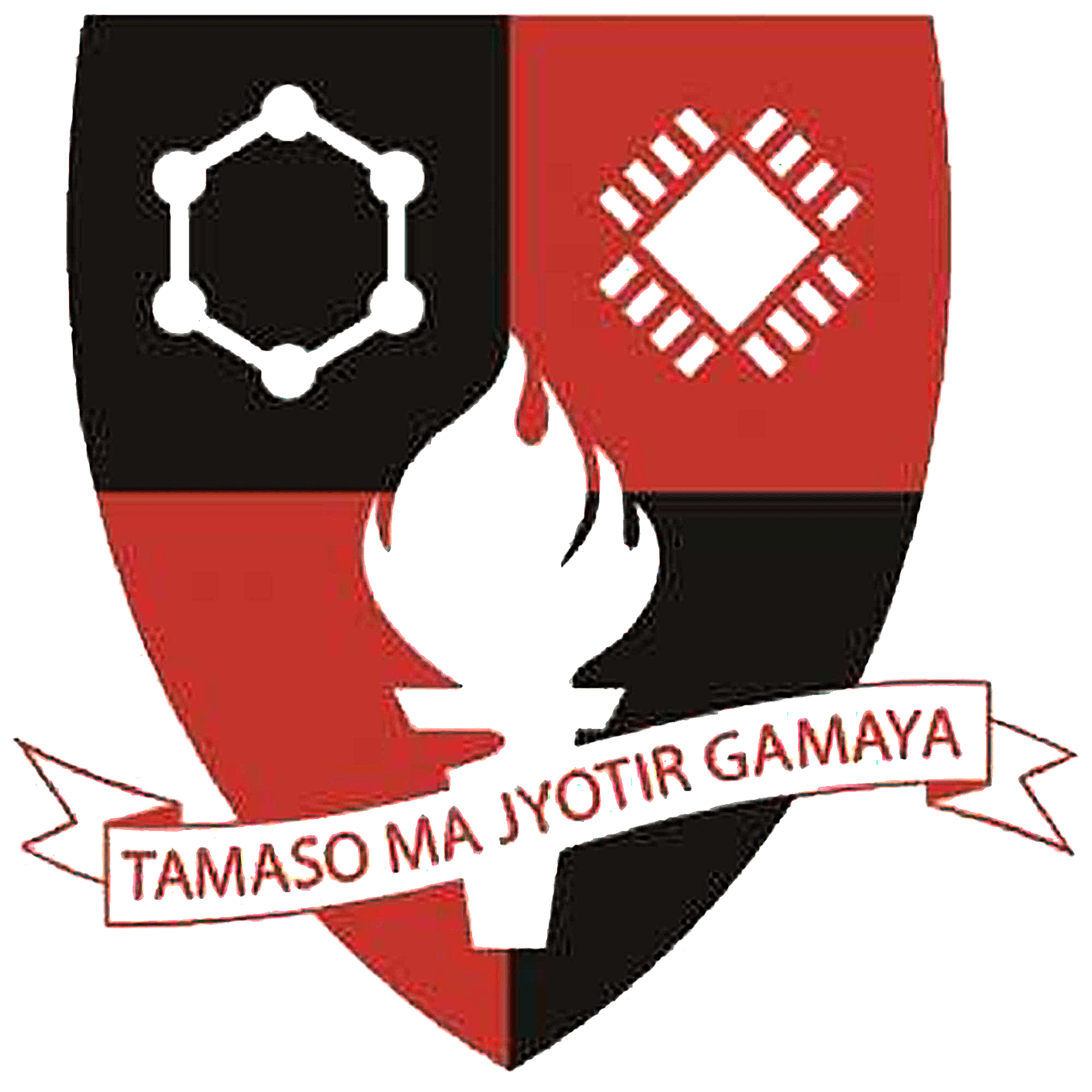 St. Thomas Institute for Science & Technology-image