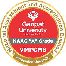 V. M. Patel College of Management Studies-image