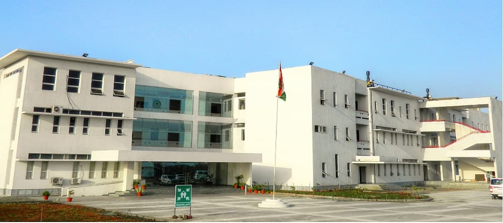 Indian Institute of Technology Indore-image