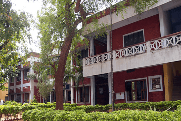 Annai Dora College of Nursing-image