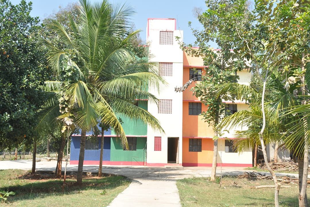 St. John's College of Nursing-image