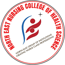 North East Nursing College of Health Sciences-image