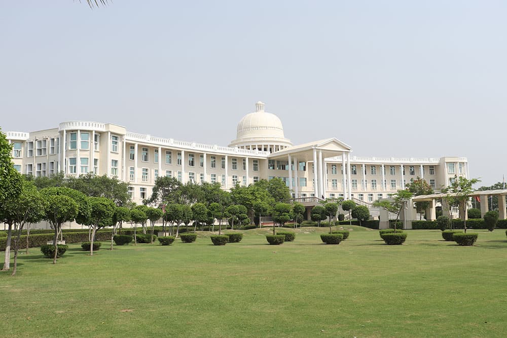 Noida International University, School of Nursing & Health Science-gallery-image-1