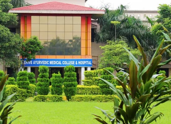 Beehive Ayurvedic Medical College & Hospital-image