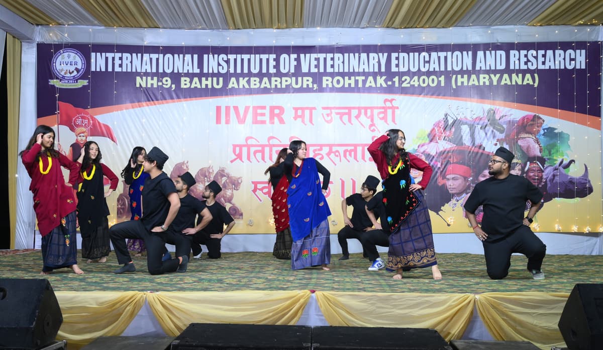 International Institute of Veterinary Education & Research-gallery-image-3