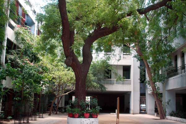 Maneklal Nanavati Law College-image
