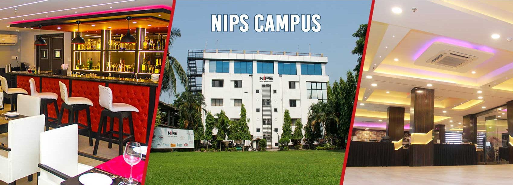NIPS Hotel Management Kolkata-image