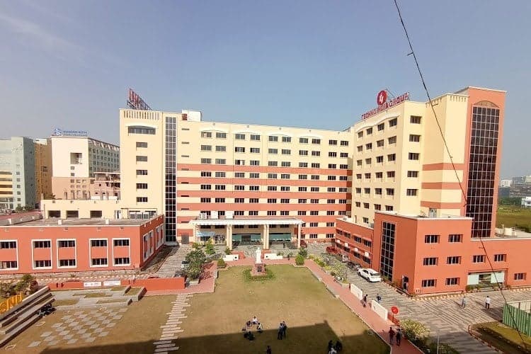 TINT-gallery-image-2