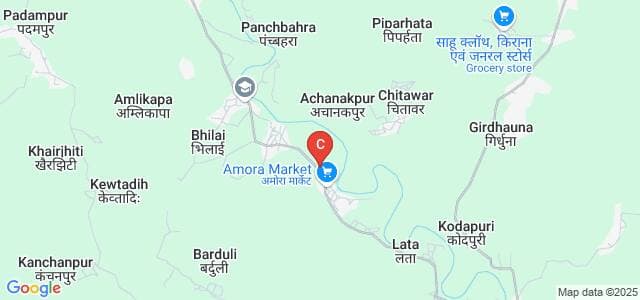 शासकीय नवीन महाविद्यालय, अमोरा-gallery-image-1