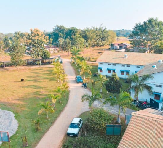 School of Pharmaceutical Sciences, Girijananda Chowdhury University-image