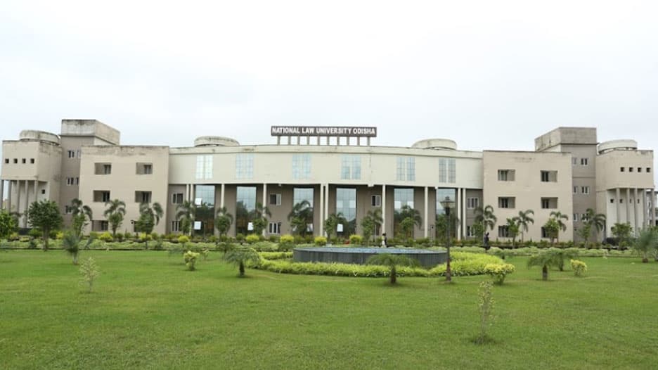 NLUO-gallery-image-1