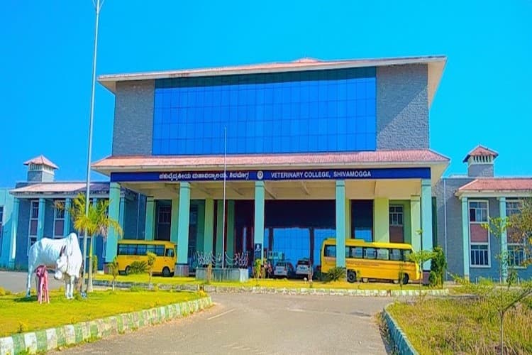 Veterinary College-image