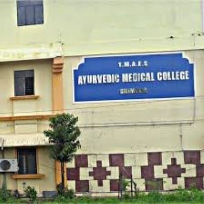 TMAES AMC-gallery-image-3