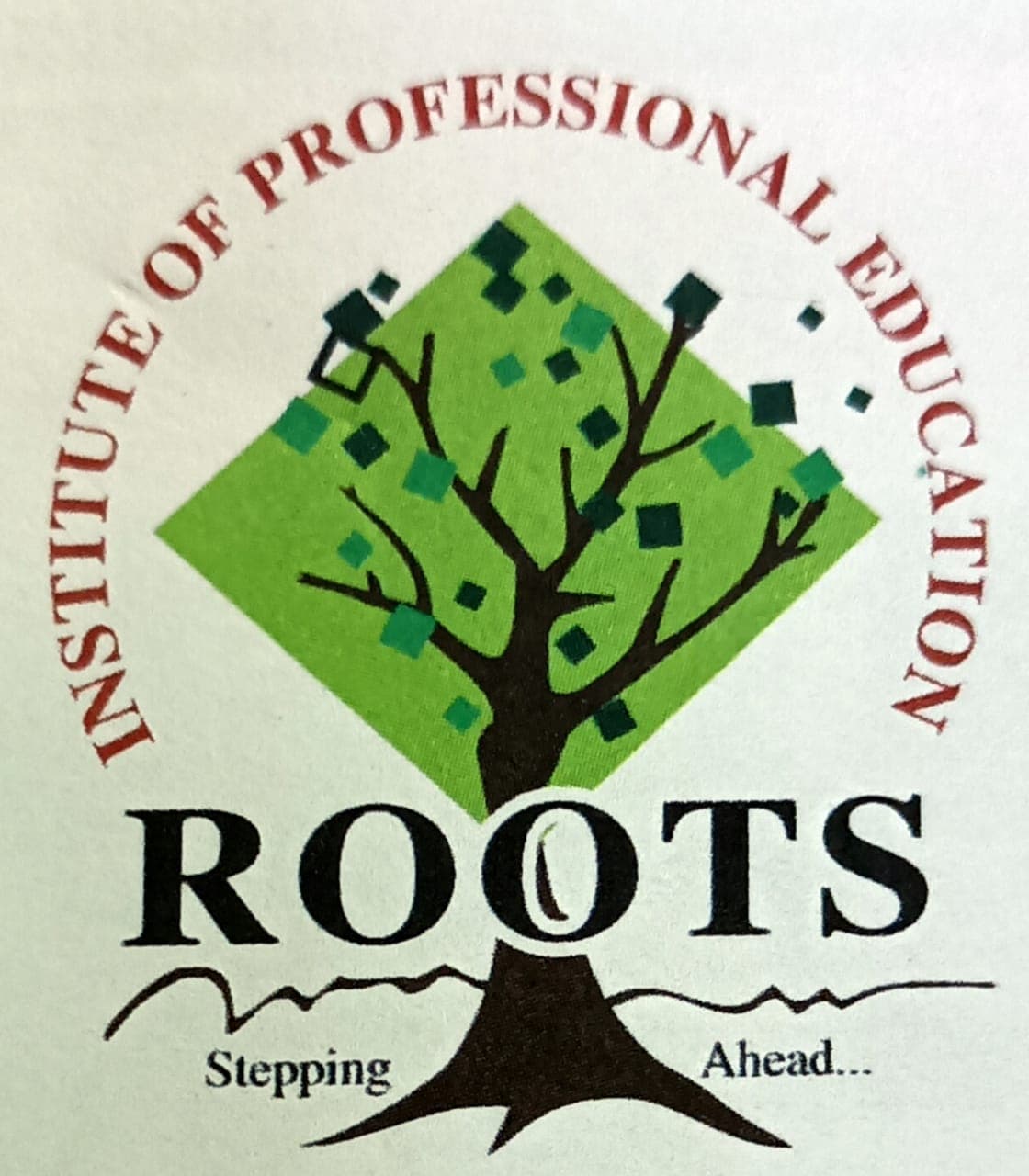 ROOTS INSTITUTE OF PROFESSIONAL EDUCATION-image