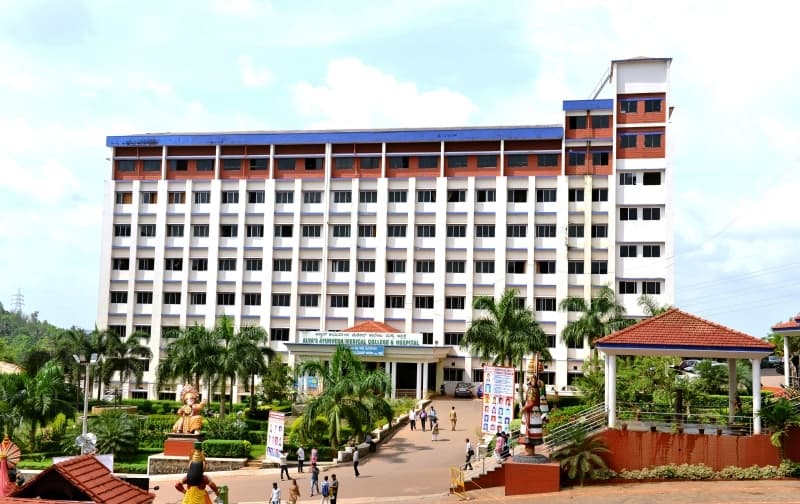 Alva's Ayurveda Medical College-image