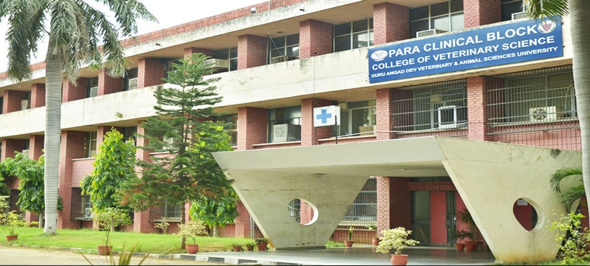 GADVASU-gallery-image-4