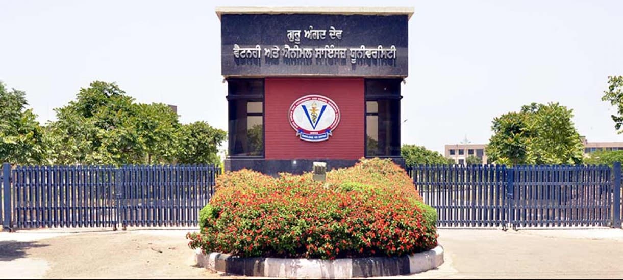 Guru Angad Dev Veterinary and Animal Sciences University-image
