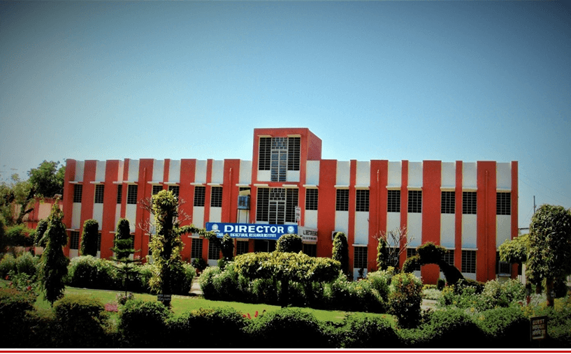 SKNCOA-gallery-image-2