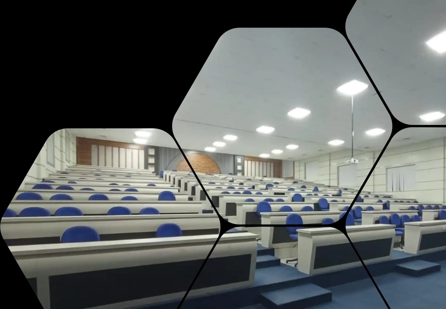 Shree Narayan Medical Institute and Hospital-image