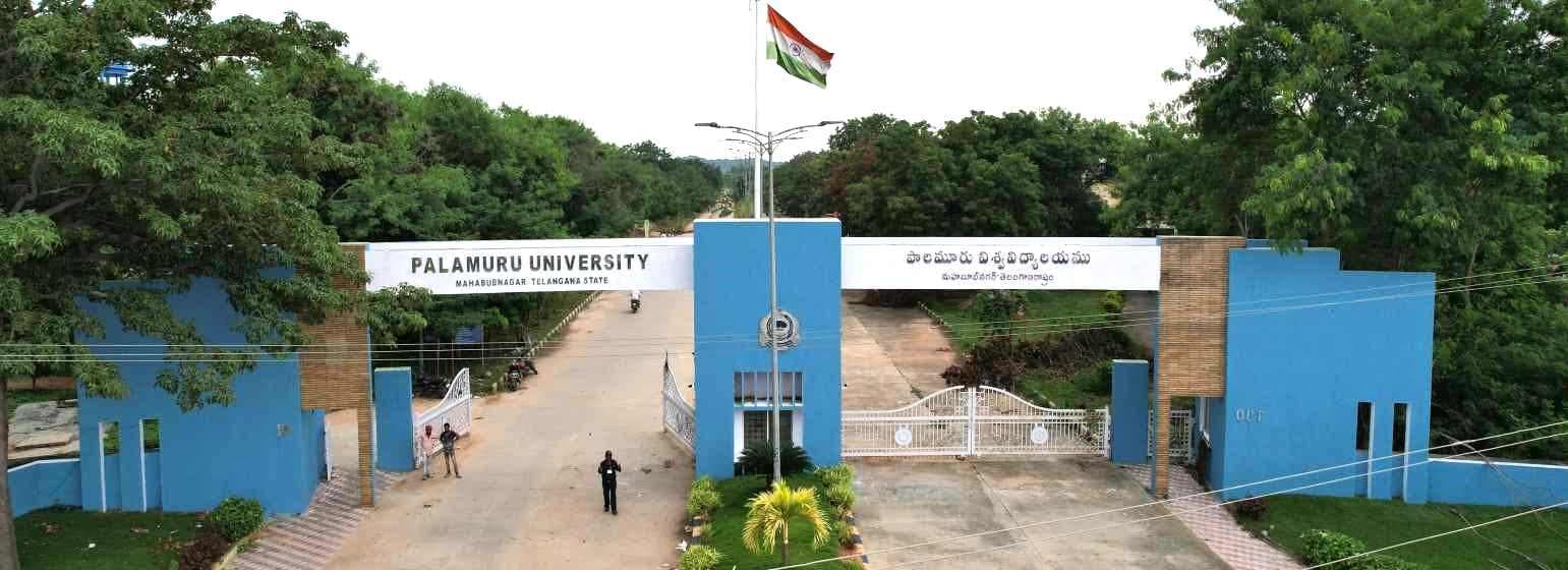 Palamuru University-image