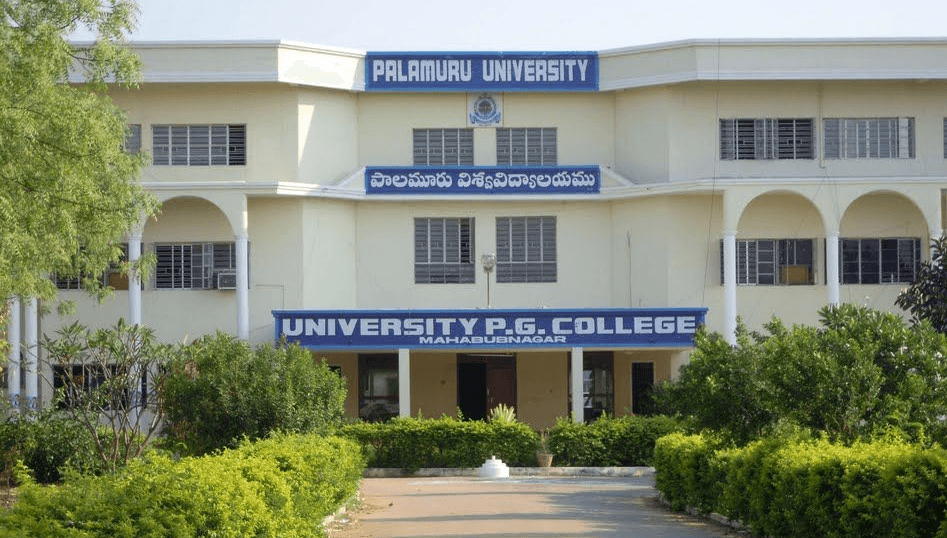 P.U.-gallery-image-4