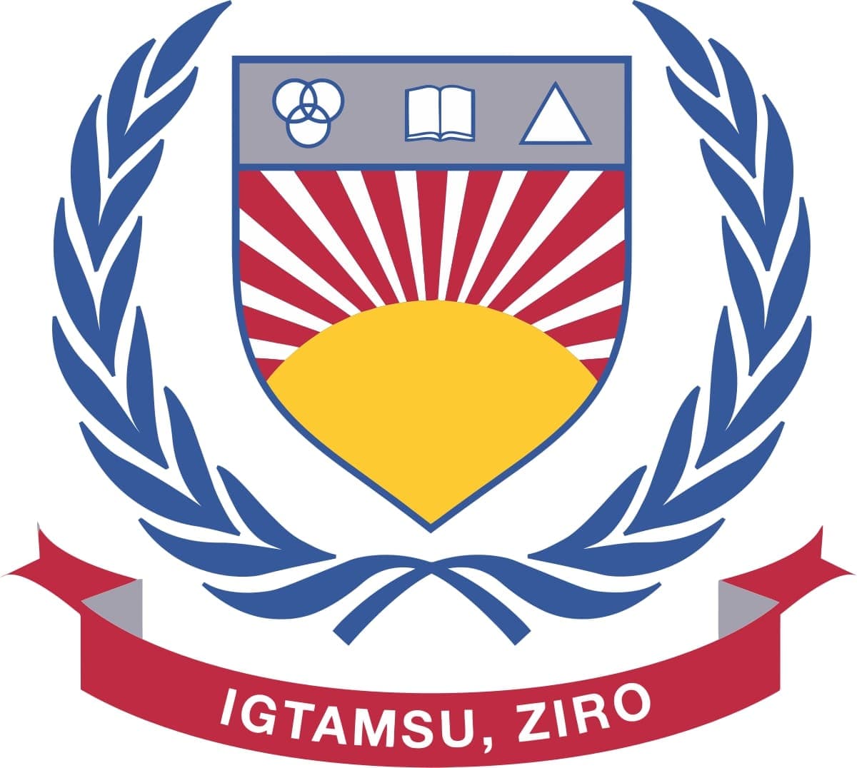 Indira Gandhi Technological and Medical Sciences University-image